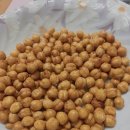 병아리 콩 이미지