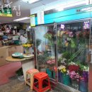 초원꽃집 이미지