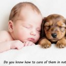 허벌리스트(허브전문가) 양성과정(1급 자격과정) | [공지] [폴리어미스트 IFT. Foliumist 전문가 자격의 의미?] 반려동물 건강 패러다임의 전환. 치료에서...