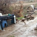 수명농장 이미지