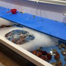 동해바다회 | 천안 두정동 횟집 맛집 동해바다횟집 모듬회 해물탕 세트메뉴 후기