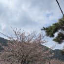 양평농협하나로마트(옥천점) 이미지