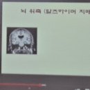 실버건강요양보호사교육원 이미지