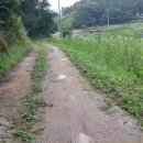 금대리농장 이미지