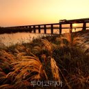 만경강길 6코스 이미지