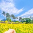 용동공원2 이미지