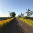 노랑등대 앞 이미지