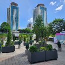 뚝섬한강공원-16 이미지