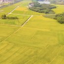 마지기로 이미지