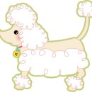 석촌동물병원 이미지