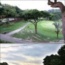 정수용 이미지