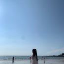 바이드302 이미지