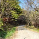 교룡산 둘레길 이미지