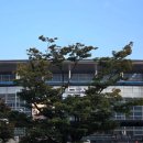 나다소극장 | 인마이블로그 10주차 : 연극 "아버지와 살면"관람 후기 - 2025 제13회 부산 소극장 연극페스티벌 개막작