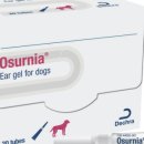 바른반려견센터 이미지