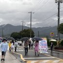 무지갯빛 이미지