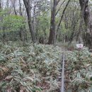 제주의사계 이미지