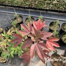 생명농장 이미지