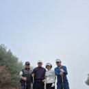 라운딩 Daum카페