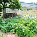 꾸러기유치원 이미지