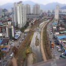 한국화(실용) 이미지