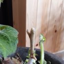 산내골농장 이미지