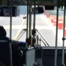 이시각 주요 가을맞이 아닝 이미지