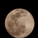 까사도라다 독채 풀빌라 이미지