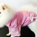 트리밍101 이미지