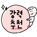 초코셀디