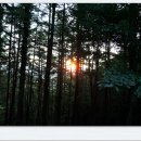 속리산둘레길 보은길4 이미지