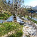 석골농장 이미지