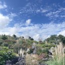 사계절송당 | 제주송당동화마을 아기와함께 수목원 산책·기차·폭포·기념품까지 한 번에 즐긴 우리 코스