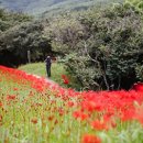 광양 옥룡사지 이미지