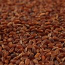 권순호농장 이미지