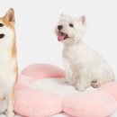 꽃길만걷개 이미지