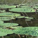 남양산역 이미지