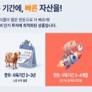 현금한돈