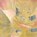 함평군립도서관 | 함평군평생학습관 자이언트플라워 수업 후기