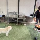 선셋파머스