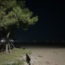 [포항여행D+23-24]리앤박치과 매복 사랑니 발치 후기_포항치과추천/내돈내산 토리헤어