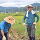 보선농장 이미지