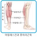 바디얼라인 - 화성시 동탄반석로 172 | 바디얼라인