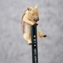 애니멀 라이프 이미지