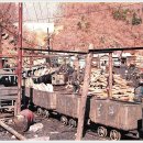 화전약국 이미지