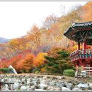 감천사