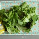 나용농장 이미지