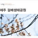 걸매축구장-2 이미지