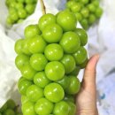희설농장 네이버블로그