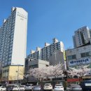 솔빛공원 농구장 이미지